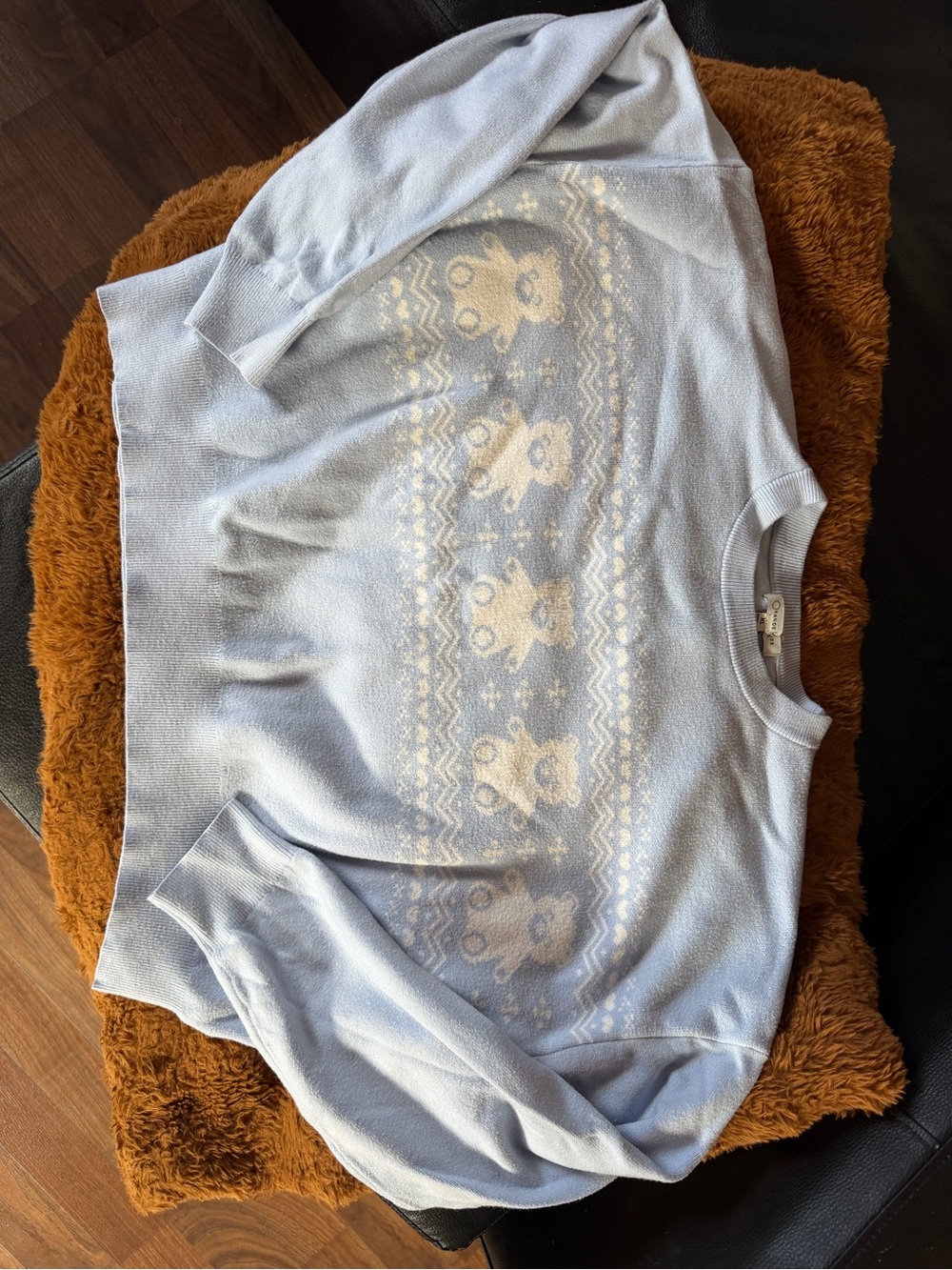 Kids Light Blue Teddy Pattern Pullover Top